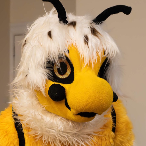 A photo of Collen